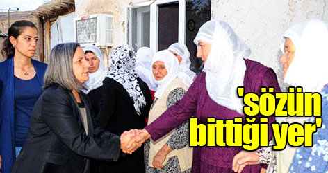 BDP Mizgin'in evine gitti