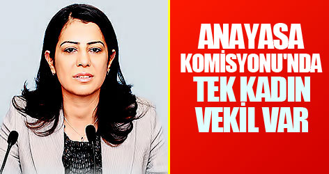 Anayasa Komisyonu'nda tek kadın vekil var