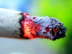 Türkiye sigara ölümünde dünya birincisi!