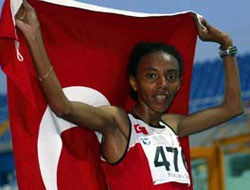 Türk sporuna ABD modeli