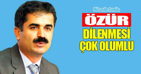 Aygün: Başbakan'ın özrü çok olumlu!