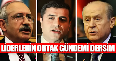 Liderlerin ortak gündemi Dersim oldu