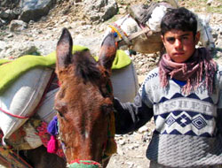 Yeni yıla Şao'yla girmek ...