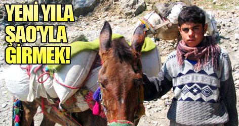 Yeni yıla Şao'yla girmek ...