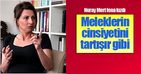Nuray Mert: Meleklerin cinsiyetini tartışır gibi...