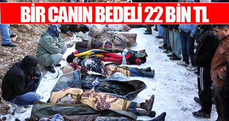 Bir canın bedeli 22 bin TL