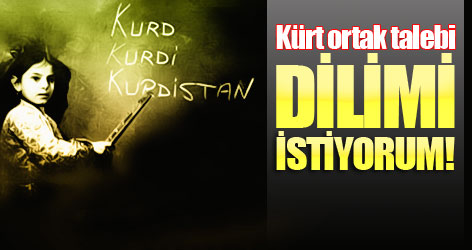 Kürtlerin ortak talebi: Dilimi istiyorum!