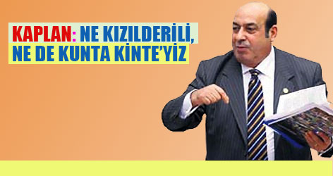 Kaplan: Ne kızılderili, ne de Kunta Kinte'yiz