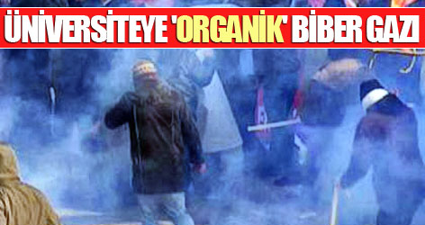 Üniversiteye 'organik' biber gazı