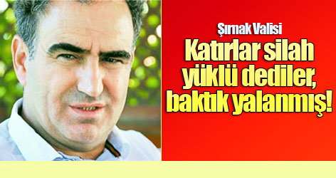 Şırnak Valisi: Katırlar silah yüklü dediler, baktık yalanmış!