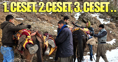 Uludere Katliamı’nın düşündürdükleri