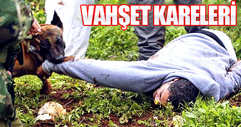 Dehşete düşüren kareler...