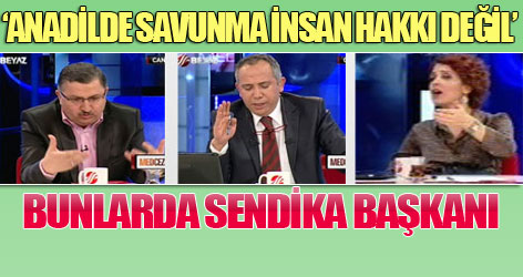 'Anadilde savunma insan hakkı değil'