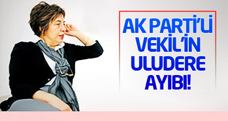 Ak Parti'li vekil'in Uludere ayıbı!