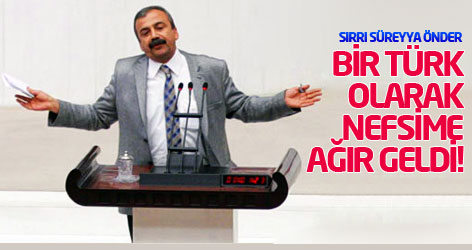 Sırrı Süreyya: Bir Türk olarak nefsime ağır geldi!