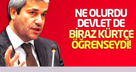 Ergün: Ne olurdu Devlet de biraz Kürtçe öğrenseydi!