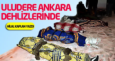 Hilal Kaplan: Uludere, Ankara dehlizlerinde!
