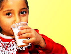 'Okul sütü' ilk gün zehirledi!