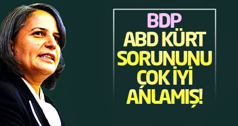 BDP: ABD Kürt sorununu çok iyi anlamış!