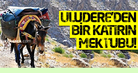 Uludere'den bir katırın mektubu!