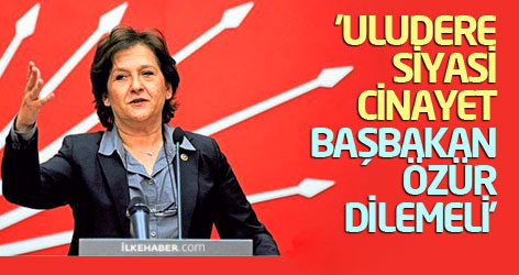 'Uludere siyasi cinayet, Başbakan özür dilemeli'