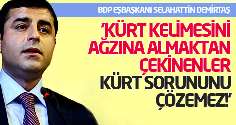 'Kürt kelimesini ağzına almaktan çekinenler, Kürt sorununu çözemez!'