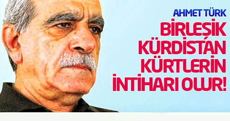 BDP’li Türk: Birleşik Kürdistan Kürtlerin intiharı olur!