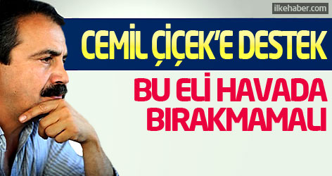 Sırrı Süreyya Önder'den Cemil Çiçek'e destek!