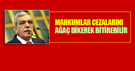 "Mahkumlar, cezalarını çıplak dağlara çam dikerek bitirebilir"