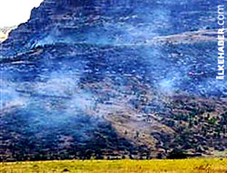 Dersim 5 gündür yanıyor!