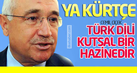 'Türk dili kutsal bir hazinedir...' peki ya Kürtçe?