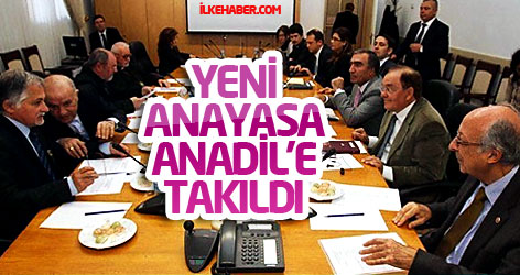 Yeni Anayasa çalışmaları Anadil'e takıldı