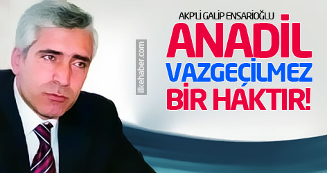 Ensarioğlu: Anadil vazgeçilmez bir haktır!