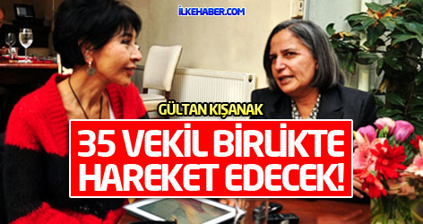 Gültan Kışanak: 35 vekil birlikte hareket edecek!