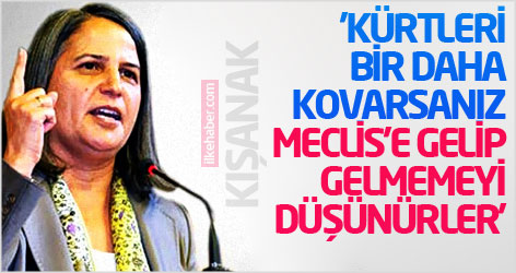 'Kürtleri bir daha kovarsanız, Meclis'e gelip gelmemeyi düşünürler'