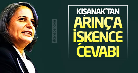 Kışanak'tan Arınç'a işkence cevabı!