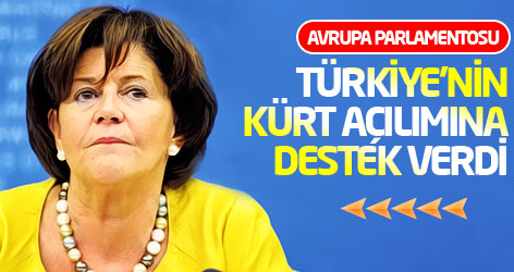 AP, Türkiye'nin Kürt açılımına destek verdi