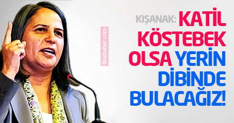 Kışanak: Katil köstebek olsa yerin dibinde bulacağız!