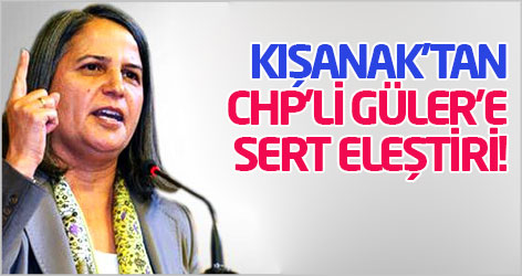 Kışanak'tan CHP'li Güler'e sert eleştiri!