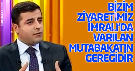 Demirtaş: Bizim ziyaretimiz İmralı'da varılan mutabakatın gereğidir