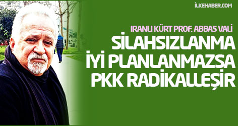 'Silahsızlanma iyi planlanmazsa PKK radikalleşir'