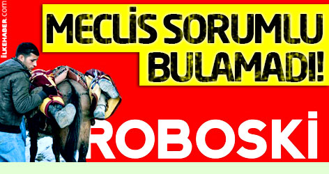 Meclis, Roboski'de sorumlu bulamadı!