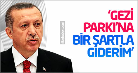 Erdoğan: Gezi Parkı'na bir şartla giderim