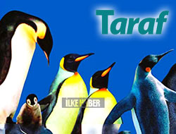 Taraf'tan 'Penguenli' tepki