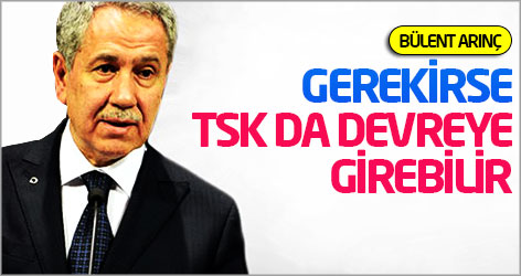 Arınç: Gerekirse TSK da devreye girebilir