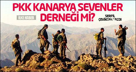 PKK kanarya sevenler derneği mi?