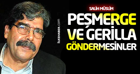 Salih Müslim: Peşmerge ve Gerilla göndermesinler