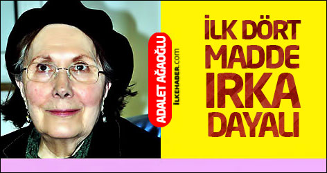 'İlk dört madde ırka dayalı, Onlar düzeltilmedikçe yeni anayasa olmaz'