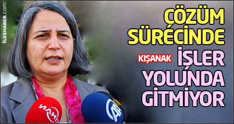 Kışanak: Çözüm sürecinde işler yolunda gitmiyor