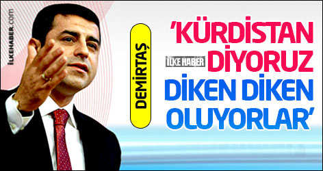 Demirtaş: Kürdistan diyoruz diken diken oluyorlar